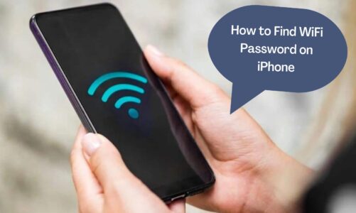 How to Find the WiFi Password on Your iPhone